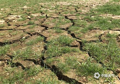 玉林气象干旱将继续发展-广西高清图片-中国天气网
