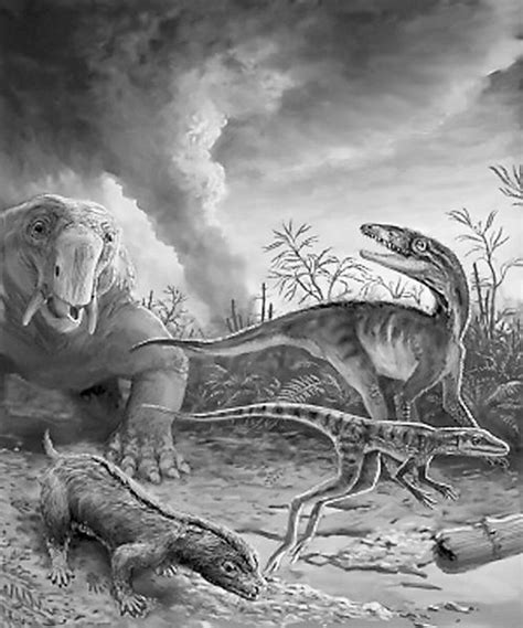第一只恐龙“眨眼”完成进化----中国科学院