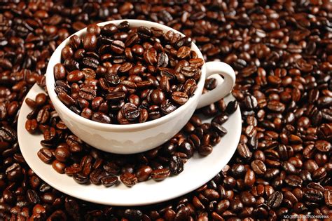 精品咖啡豆埃塞俄比亚的咖啡介绍 中国咖啡网 gafei.com