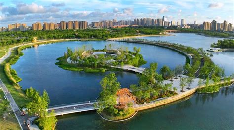 奉贤公园城市建设，区政府带头开启单位绿化共享模式_要闻动态