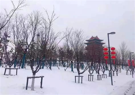 美成童话！济宁2021年的第一场雪来了 - 济宁 - 济宁新闻网