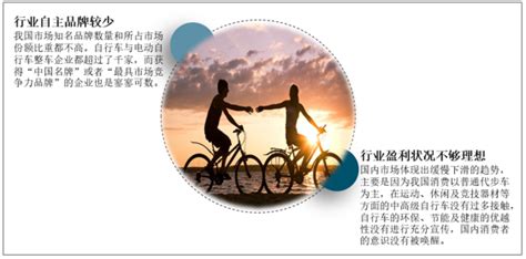 2019年中国自行车行业发展背景、行业发展现状、2020年行业运行趋势及行业发展趋势分析预测[图]_智研咨询