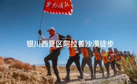 西夏区2024年会团建活动策划，西夏区年会团建好去处-有山团建