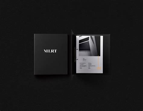 MLRT 企业品牌视觉VI形象设计欣赏