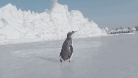 哥谭企鹅人物志大结局，沙包企鹅上位，他能立足于哥谭吗。_高清1080P在线观看平台_腾讯视频