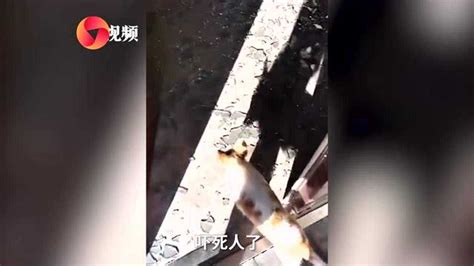 仙桃一化工厂闪爆致5伤4失联 居民玻璃被震碎一地_腾讯视频