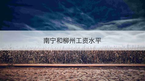 广西未来20年发展规划 南宁和柳州工资水平【桂聘】