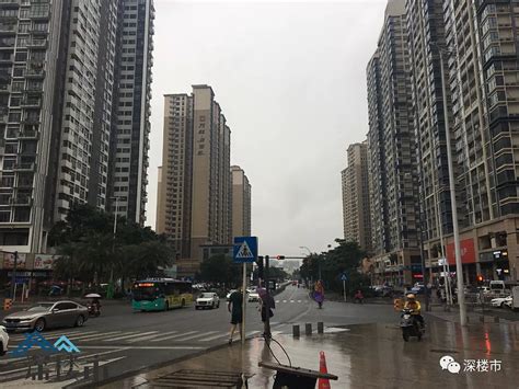 知名企业扎根宝安，沙井立讯高端精密智能模组基地开工|深圳市_新浪新闻