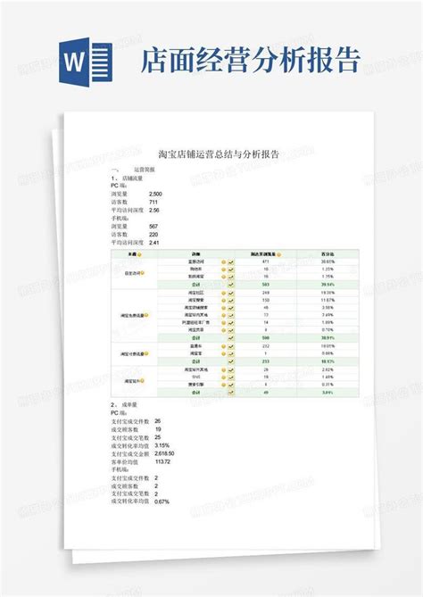 淘宝店铺运营总结与分析报告Word模板下载_编号lpbdwyrp_熊猫办公