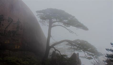 【雨中黄山摄影图片】风光摄影_追影_太平洋电脑网摄影部落