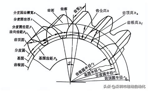 圆锥齿轮的分类及适用范围-深圳鸿泰兴自动化设备有限公司