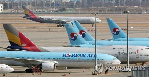 大韩航空减少和取消中国地区部分航线航班 - 2020年1月31日, 俄罗斯卫星通讯社