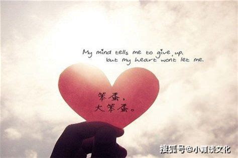 掏心图片