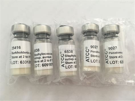 黑曲霉菌ATCC16404 CMCC(F)98003标准菌株斜面菌种第2代实验包邮