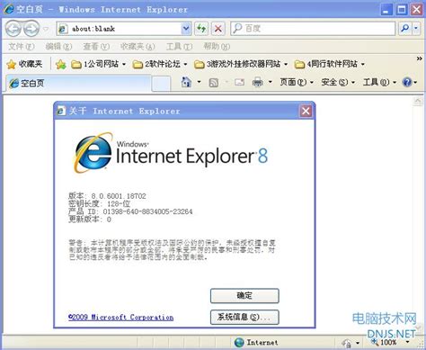 ie内核浏览器排行榜_2010非IE内核浏览器支持率排行榜_中国排行网