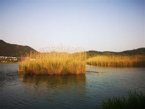 宁波东钱湖畔的唯美风景，充满着浪漫情调和童话风情，免费开放