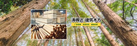 9层1830*915覆膜木模板多少钱一张_新闻资讯_广西贵港市广马木业有限公司