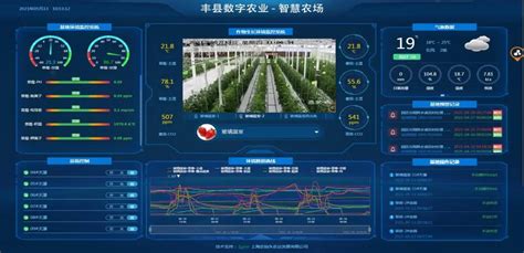 江苏丰县全力打造有特色的现代农业发展模式 - 消费日报