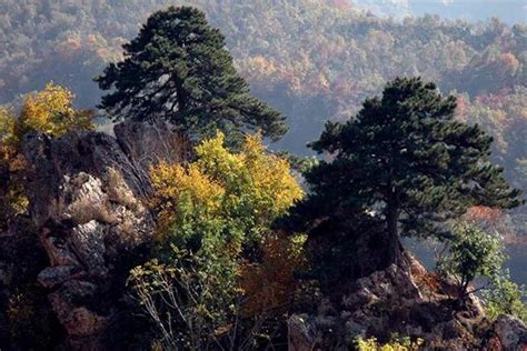 “舞彩浅山”的鞑子沟，充满秋的韵味