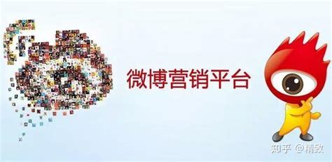 2018微博营销案例王菊_王菊创造微博 - 随意云