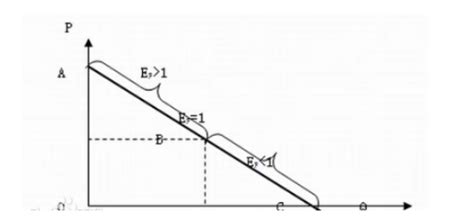 什么是需求的价格弹性(Price Elasticity of Demand) 和供给的价格弹性(Price Elasticity of ...