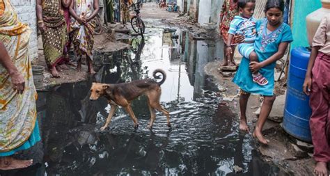 实拍印度棚户区：圣城里的贫民生活，当地妇女头顶水桶排队取水_凤凰网