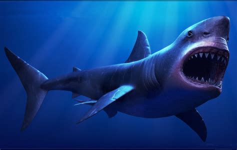 直击史上最恐怖鲨鱼，体型堪比鲸鱼，海洋里的残酷杀手|巨牙|鲨鱼|体型_新浪新闻