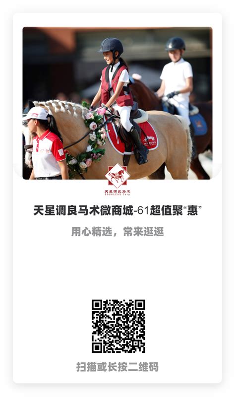 中秋相约北京马术公开赛 2023首届马术季完美收官- 北京市体育局网站