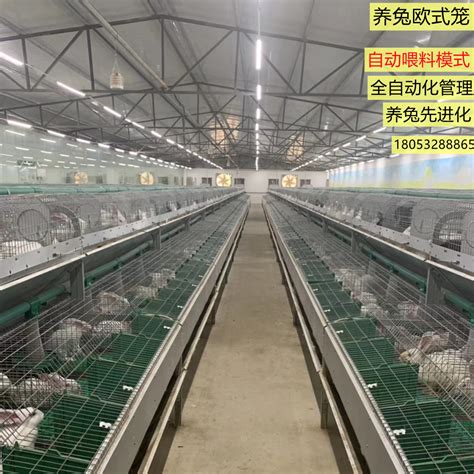 【热销】实验兔笼304不锈钢养殖兔笼干养式冲水式规格多【厂家直销】-阿里巴巴