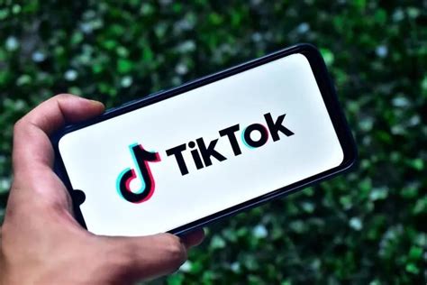怎么入驻TikTok海外直播公会？