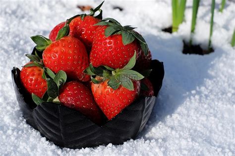 草莓,碗,令人垂涎高清图库素材免费下载(图片编号:7020407)-六图网