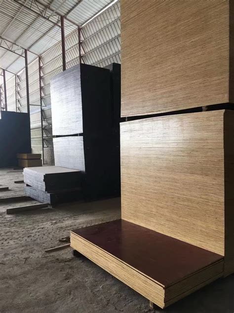 广西桉木模板厂家，14年专注桉木模板，桉木模板价格咨询【金生水建材】