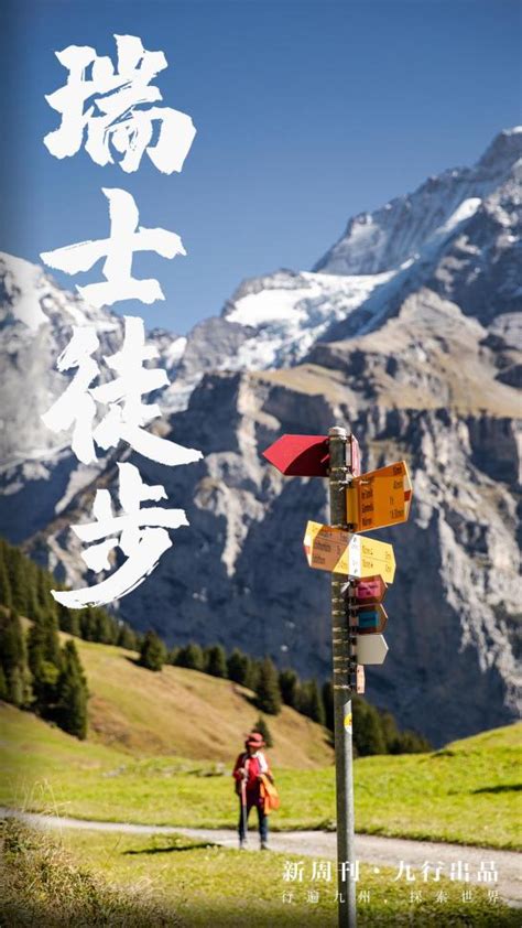 葡萄酒和蔬菜在瑞士阿尔卑斯山草原高清图片下载-正版图片504763614-摄图网