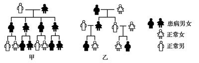 人教版 (2019)必修2《遗传与进化》第3节 伴性遗传优秀ppt课件-教习网|课件下载