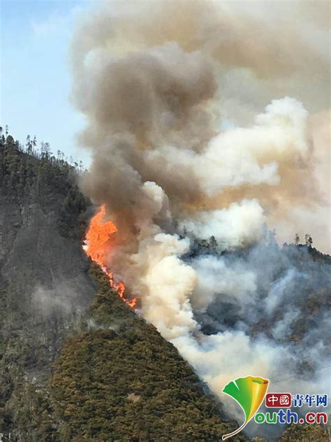 西昌突发森林火灾致19人牺牲，这次火情为何发展如此迅速？ | 北晚新视觉