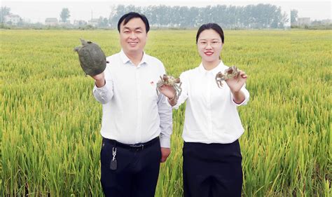 肥西县农业农村局扎实推进农机安全宣传“五进”活动 - 合肥 - 安徽财经网