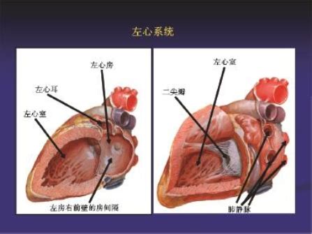 CT和MRI如何看心脏正常及异常结构，高清图谱请收好！_心脏结构_心脏CT_心脏MRI_卵圆孔未闭_医脉通
