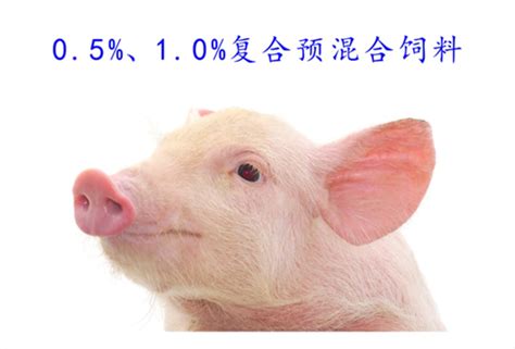 猪系列-四川饲料厂家_四川复合预混合饲料-成都科飞饲料科技有限公司