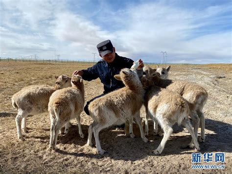 百名读者放生广州地区国家濒危野生动物-新闻中心-南海网