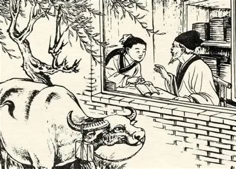 《儒林外史》第十六回概括是什么-百度经验
