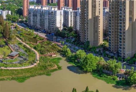 武汉电视台：化身城市“绿肺” 青山港变了模样