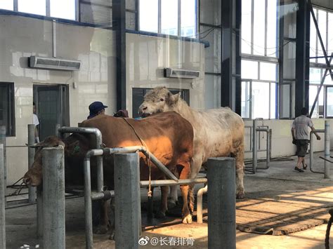 关于海军总医院