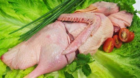 鸭肉的功效与作用及禁忌_鸭肉的营养价值及功效-美食百科-经验本