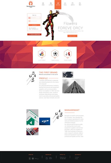 欧美网页设计 网站设计 品牌设计 饰品网页设计