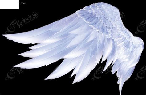 天使的翅膀图片-蓝色背景下天使的翅膀素材-高清图片-摄影照片-寻图免费打包下载