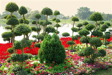 具有河流背景的罗马花园公园植物植物群花园气氛高清图片下载-正版图片320801809-摄图网