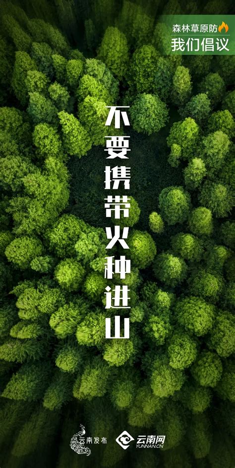 威信县人民政府门户网站-部门新闻
