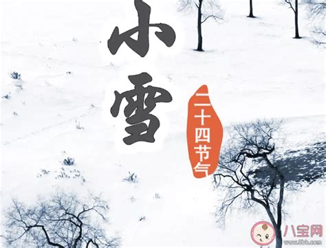 2019小雪早安正能量朋友圈语录 小雪节气祝福语问候大全 _八宝网