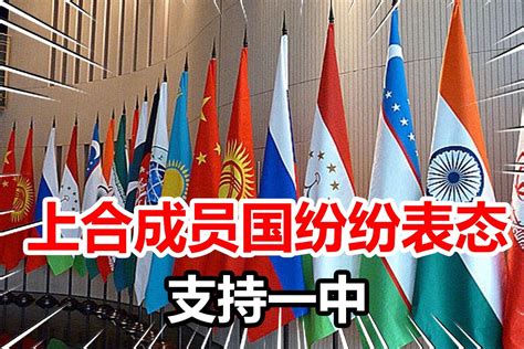 印尼外交部：17个国家元首已确认将参加二十国集团领导人峰会 - 2022年11月3日, 俄罗斯卫星通讯社