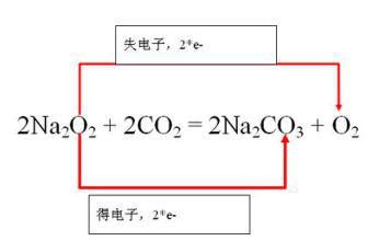 检验二氧化碳气体与氢氧化钠溶液是否反应的方法 - 气体汇